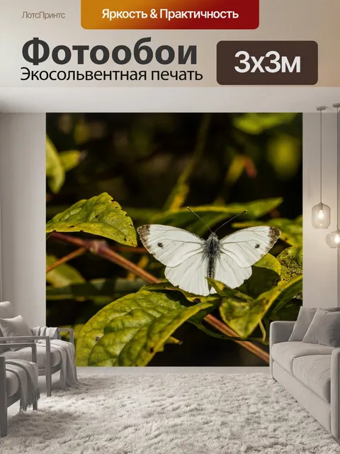 Фотообои Белый