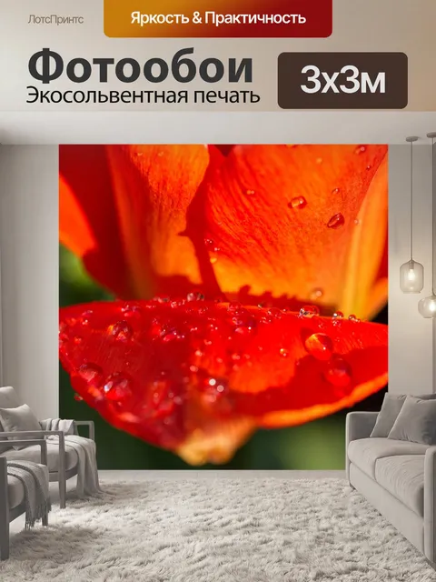 Фотообои Тюльпаны