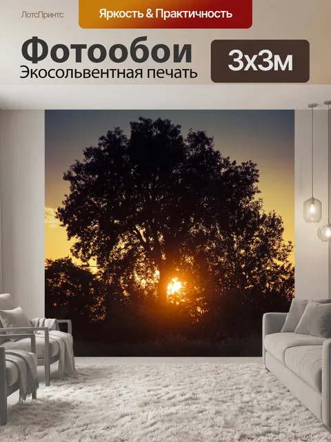Фотообои Заход солнца