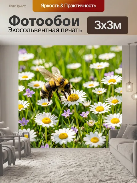 Фотообои Шмель на ромашке в поле