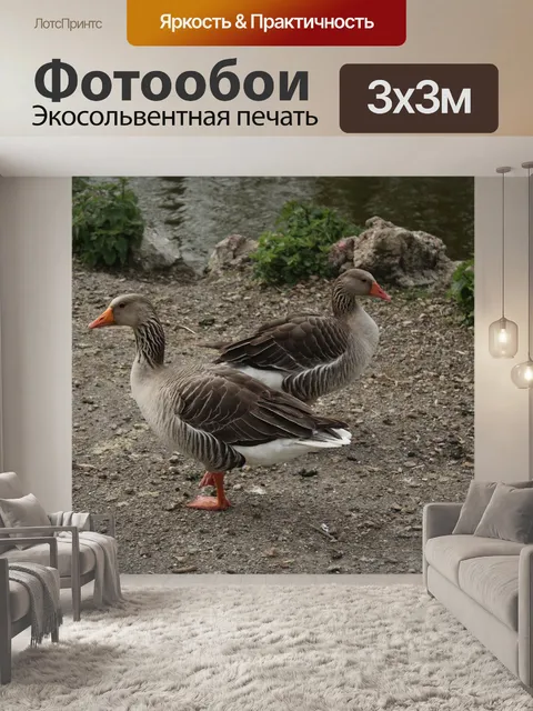 Фотообои Гусь