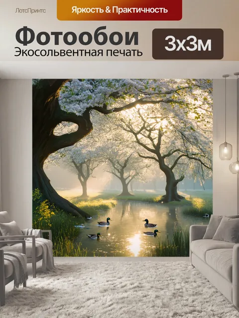 Фотообои утро: пейзаж с вековыми деревьями, окутанными легким утренним туманом