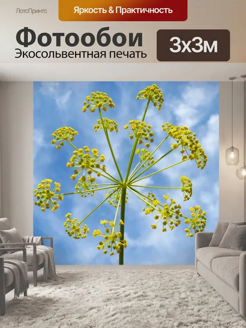 Фотообои Цветок
