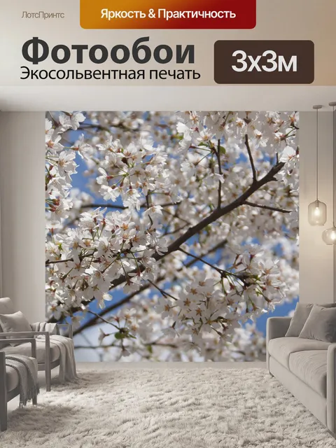 Фотообои Цветение вишни