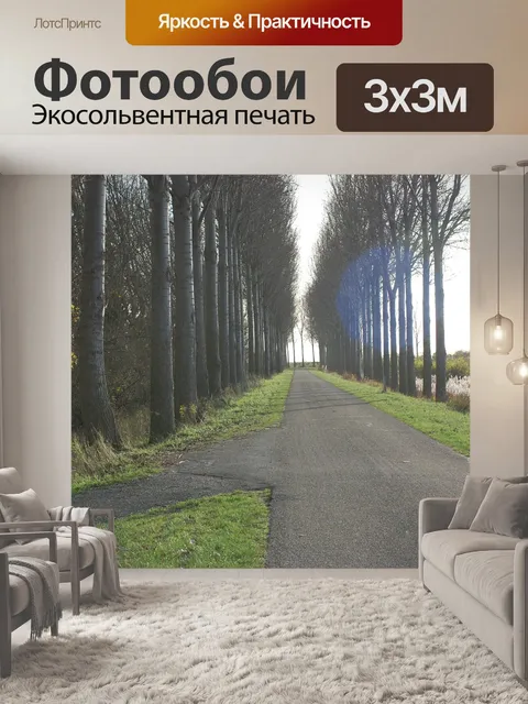 Фотообои Далеко