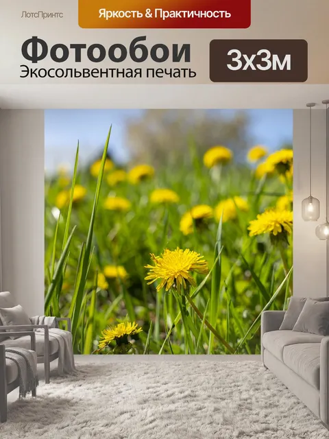 Фотообои Одуванчик