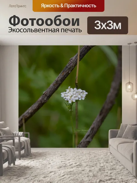 Фотообои Крошечные полевые цветы