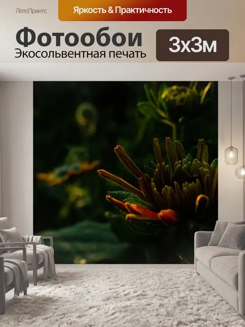Фотообои Заход солнца