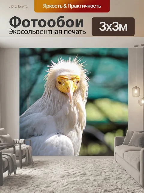Фотообои Птица