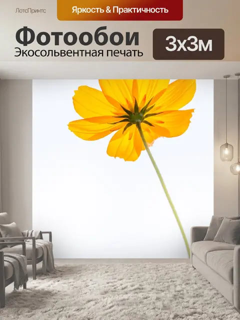Фотообои Космос