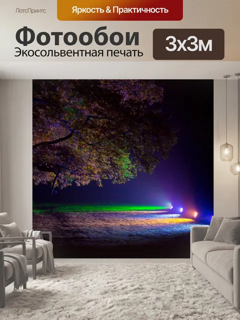 Фотообои Световая деревья ночью