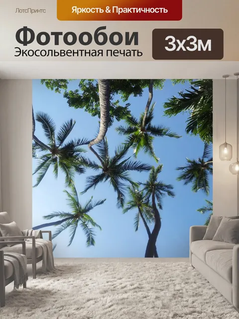 Фотообои Пальмы