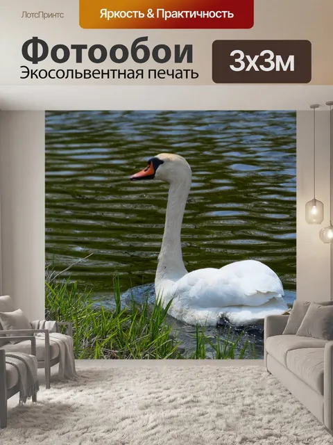 Фотообои Птицы