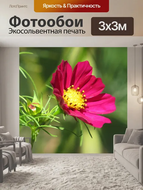 Фотообои Цветок