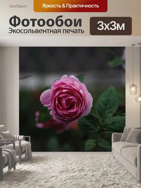 Фотообои Роза