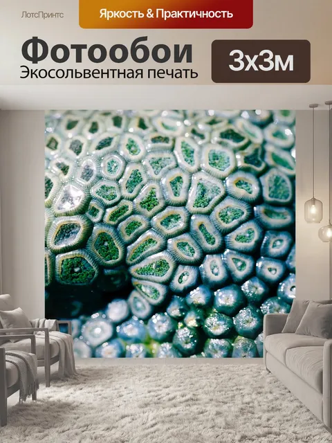 Фотообои Море
