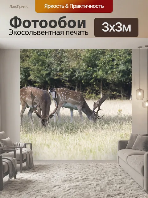 Фотообои Олень