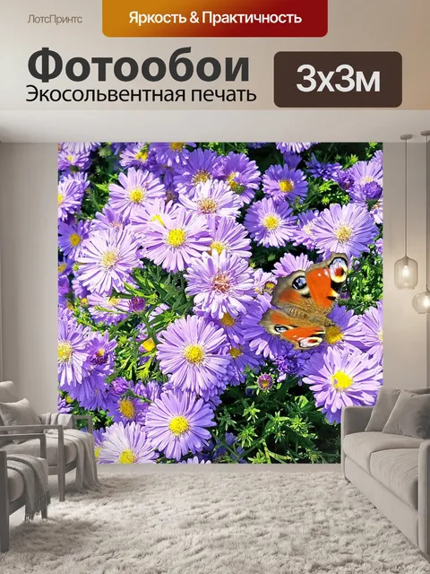 Фотообои Бабочка
