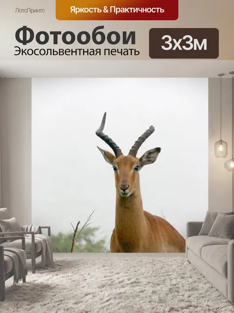 Фотообои Impala со сломанным рогом