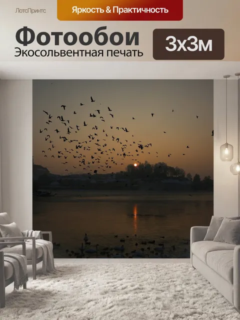 Фотообои Завтра птицы