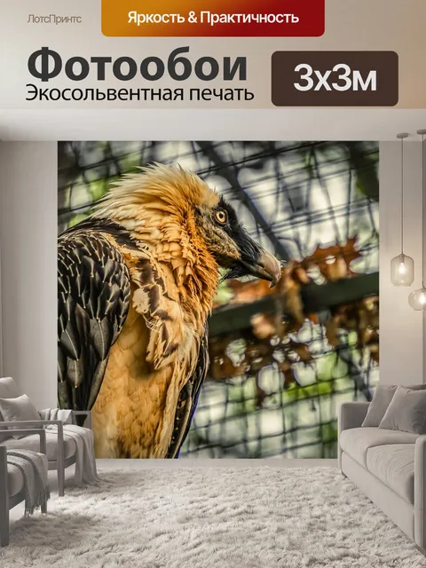 Фотообои Гриф
