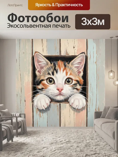 Фотообои Любопытный котёнок в окне