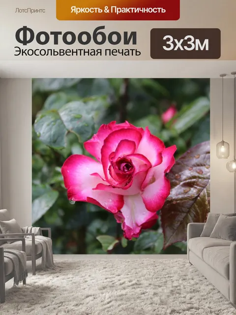 Фотообои Розы