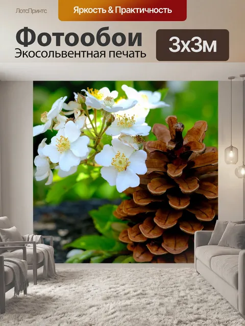 Фотообои Сосновые шишки