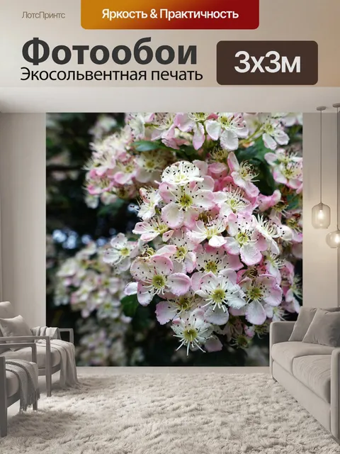 Фотообои Цветы яблони