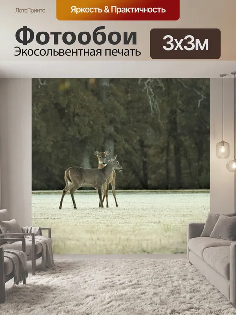 Фотообои Две молодые олени играют осенью