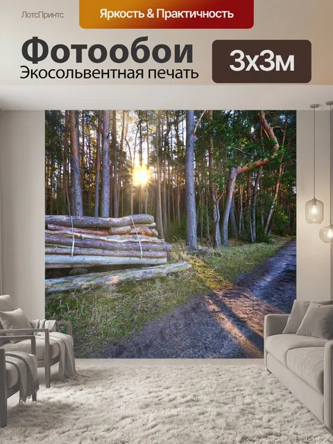 Фотообои Лес