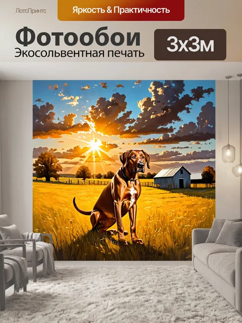 Фотообои родезийский риджбек, охраняющий малая фермерская усадьба на закате