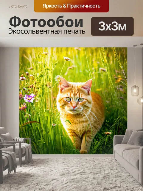 Фотообои изображение рыжей кошки