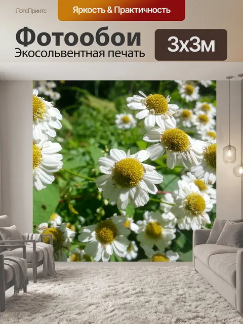 Фотообои Ромашки в поле