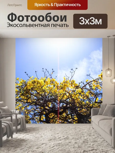 Фотообои Цветы
