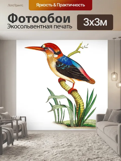 Фотообои Птицы Зимородок Vintage Art