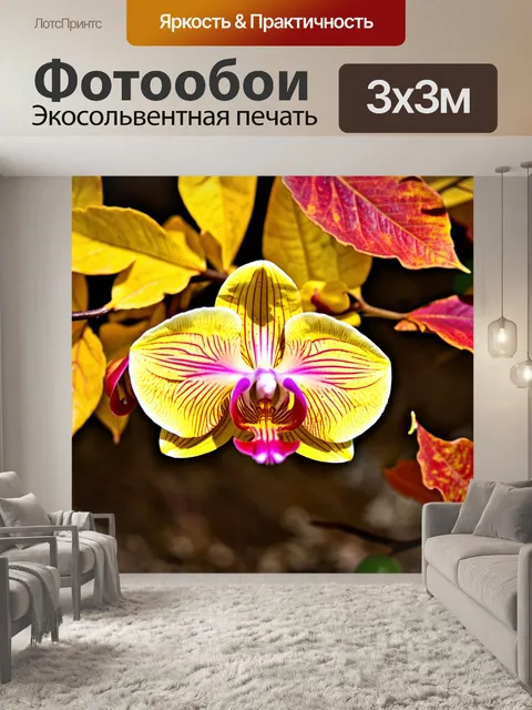 Фотообои орхидея среди желтых и красных осенних листьев, создавая контраст
