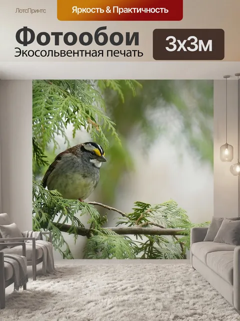 Фотообои Воробей