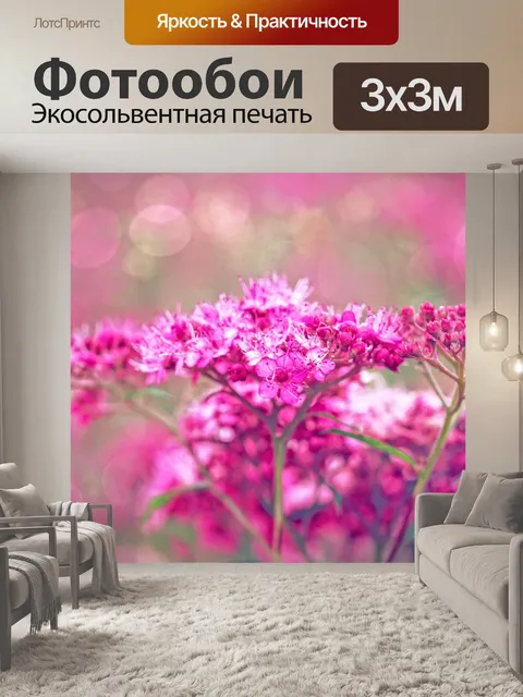 Фотообои Блоссом цветник природа