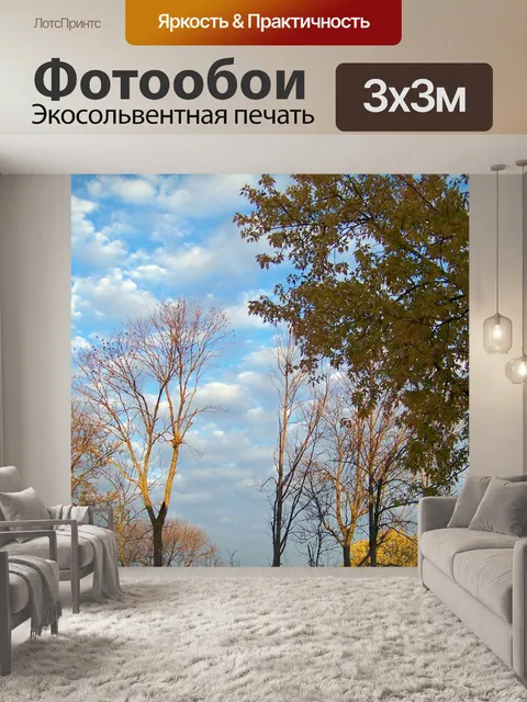 Фотообои Осенние деревья и облака 2