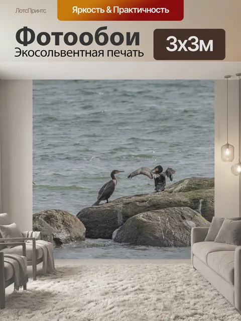 Фотообои Воды