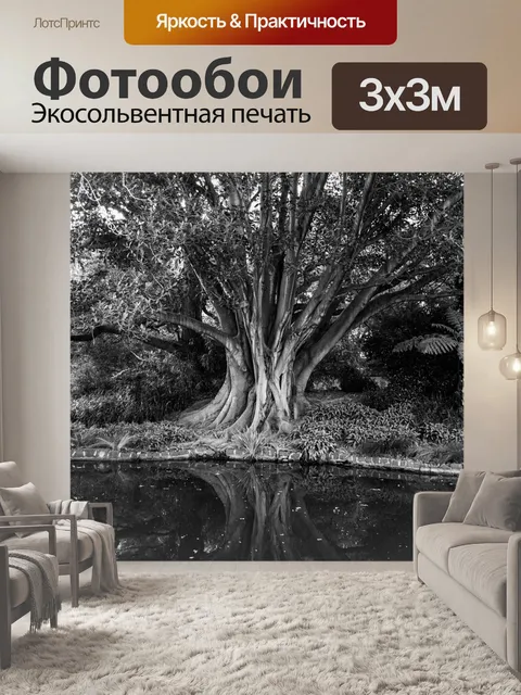 Фотообои Деревья