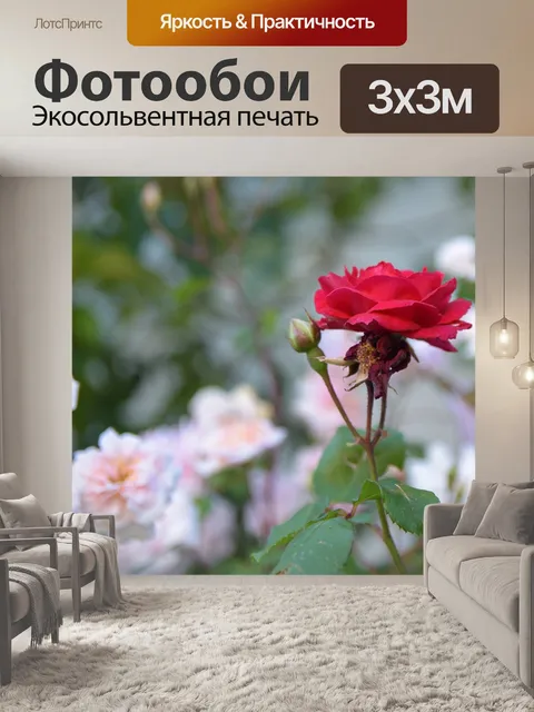 Фотообои Розы