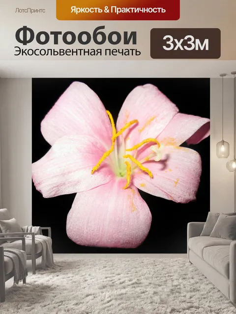 Фотообои Цветок