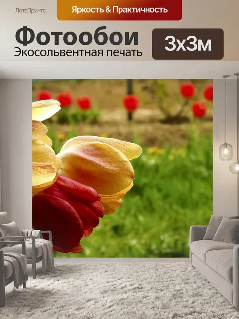 Фотообои Тюльпаны