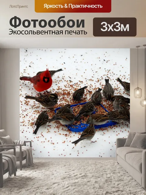 Фотообои Птицы, питающиеся