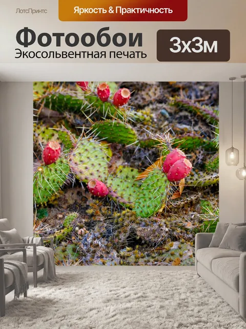 Фотообои Ботанический сад в Быдгоще