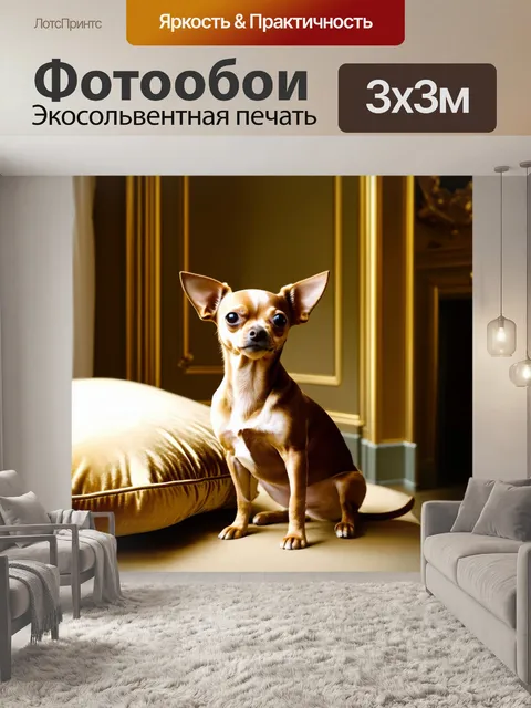 Фотообои изображение чихуахуа, запечатленного в роскошном интерьере с золотыми стенами и бархатной мебелью
