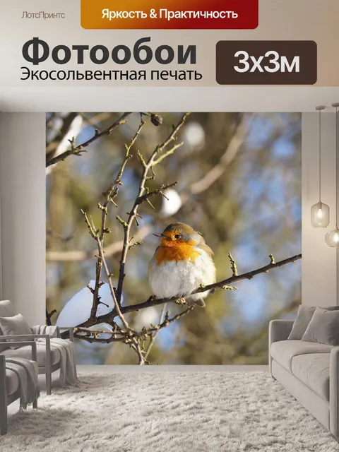 Фотообои Природа