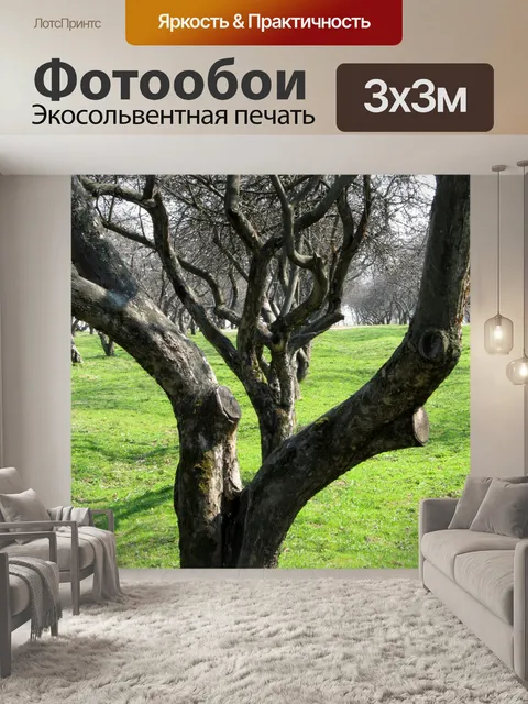 Фотообои Яблоневый сад